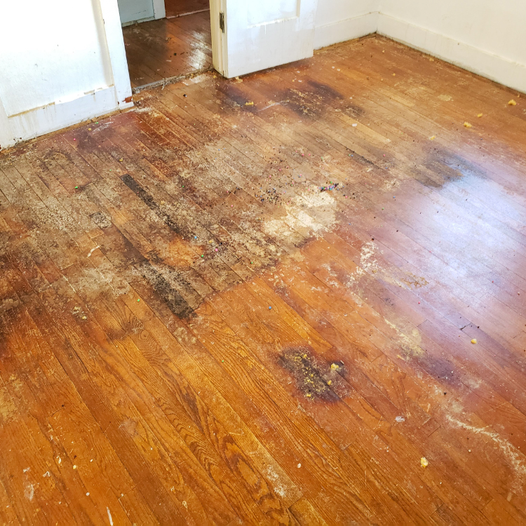 Restoration in North Dallas