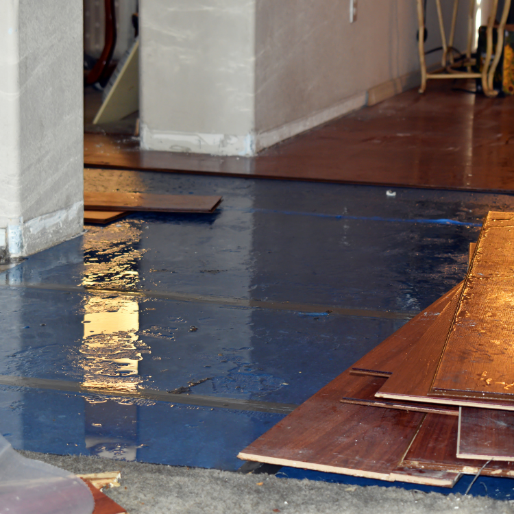 Restoration in North Dallas