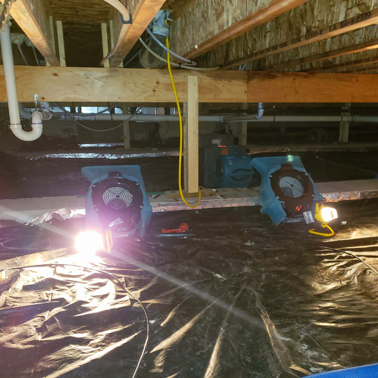 Restoration in North Dallas